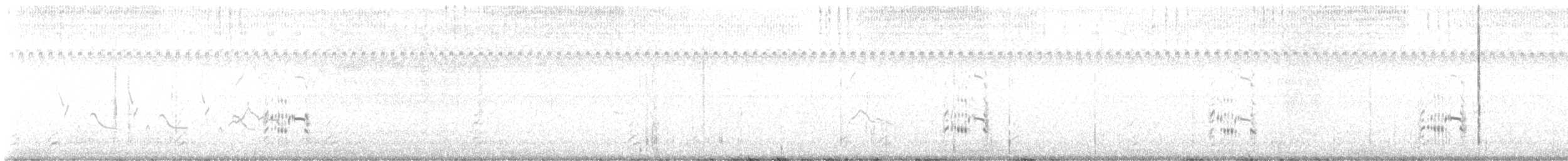 Royal Tern - ML641463942