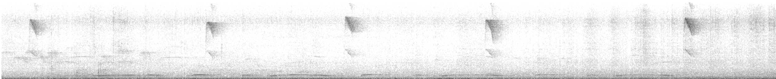 Picazuro Pigeon - ML641466007