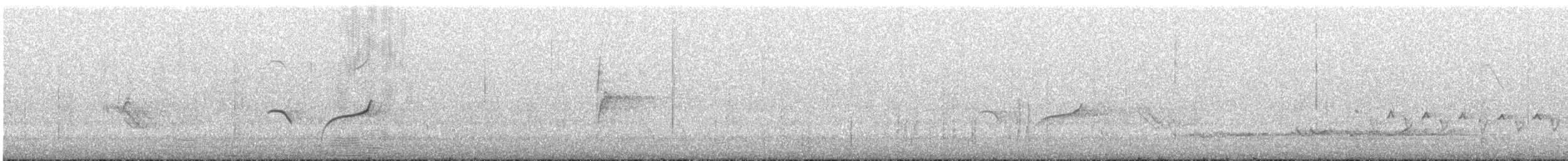 sørkrattskvett - ML641466382