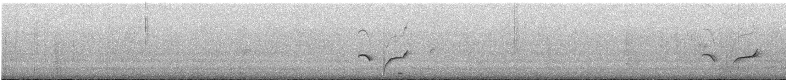 sørkrattskvett - ML641466387