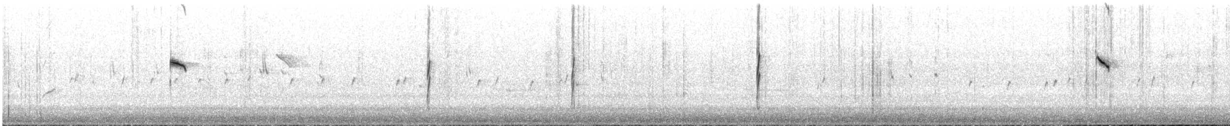 Chestnut-rumped Thornbill - ML641466469