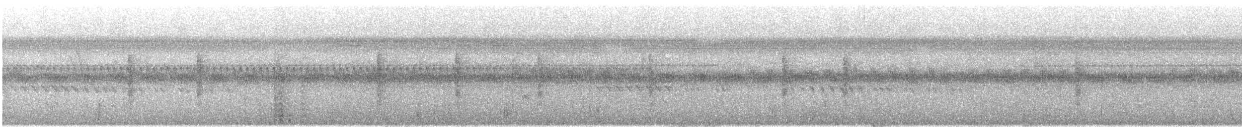 Japanese Bush Warbler - ML641467246