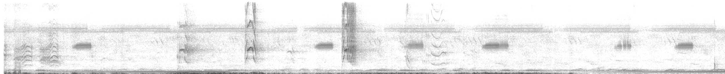 Yellow-legged Buttonquail - ML641467503