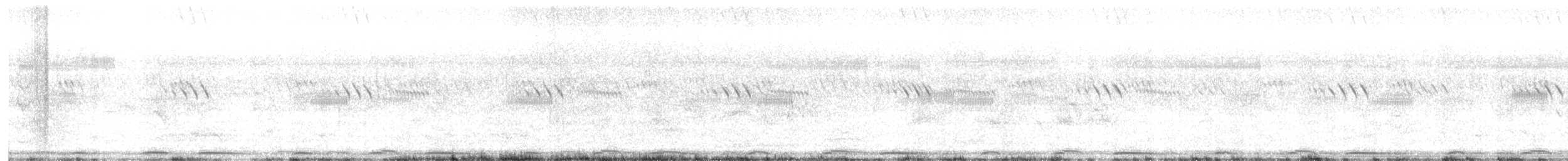 Yellow-legged Buttonquail - ML641467504