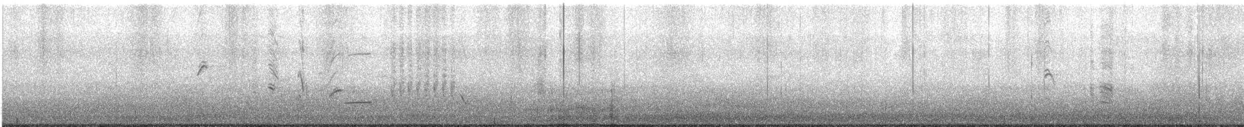 Austral Blackbird - ML641469579