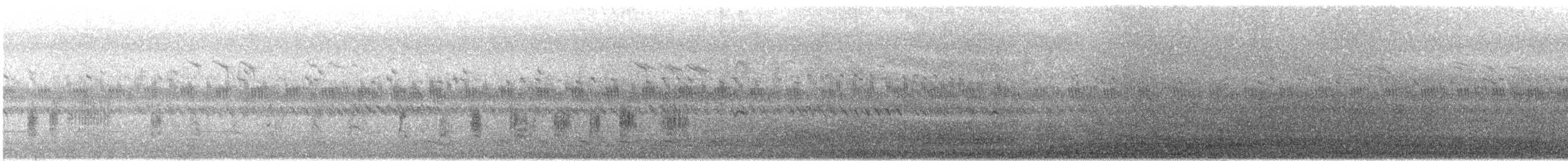 Oriental Reed Warbler - ML641470331