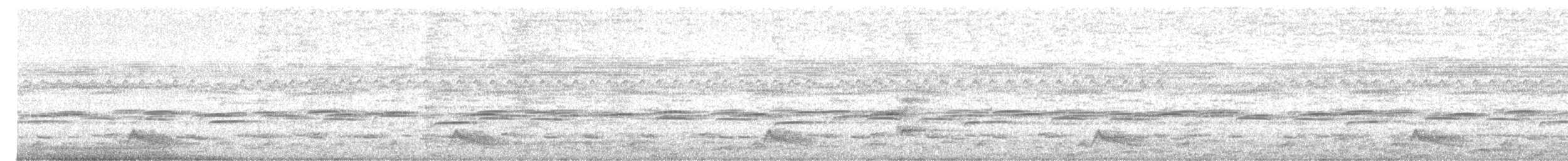 Common Pauraque - ML641470992
