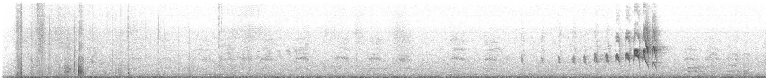 Mouse-colored Tyrannulet - ML641471025