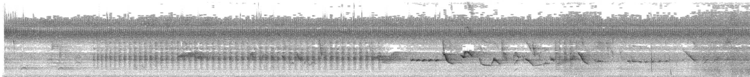 ボルチモアムクドリモドキ - ML641471179