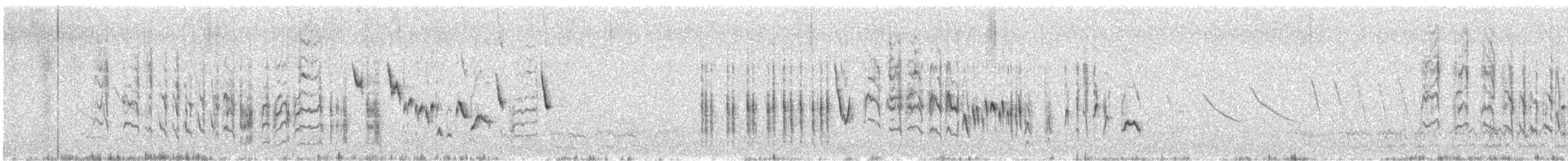 Southern House Wren - ML641472263