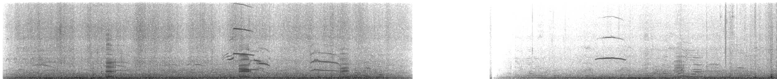 Neotropic Cormorant - ML641473730