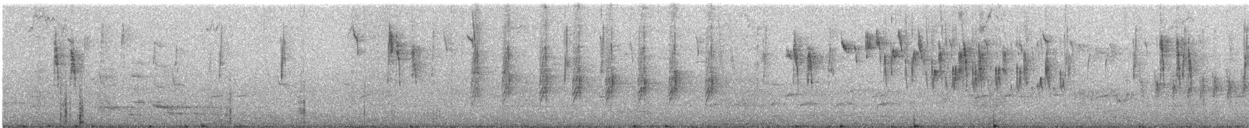 Striated Thornbill - ML641475813