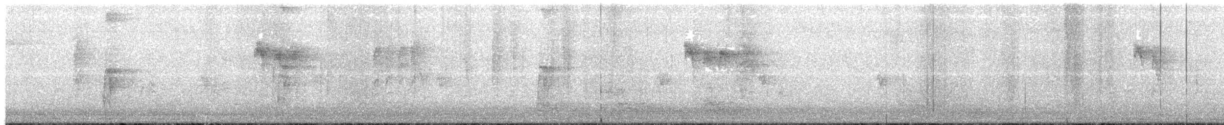 Hairy Woodpecker - ML641476045