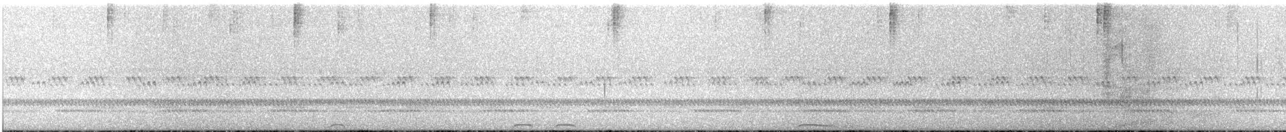 Fleckenkauz - ML641478093