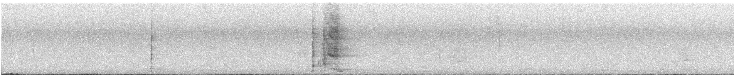 Yellow Wattlebird - ML641478204