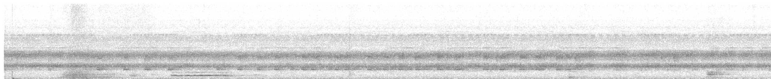 Chouette leptogramme - ML641478276