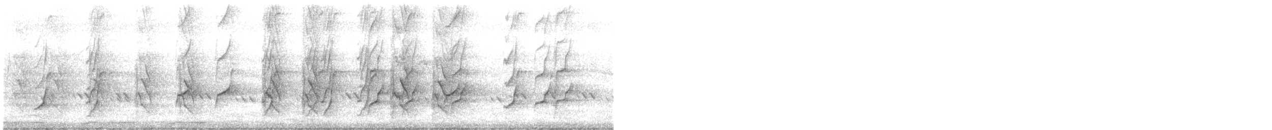 Plum-headed Parakeet - ML641478989