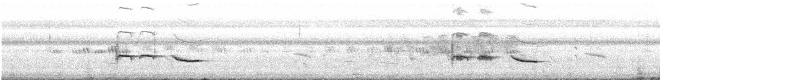 Common Iora - ML641480341