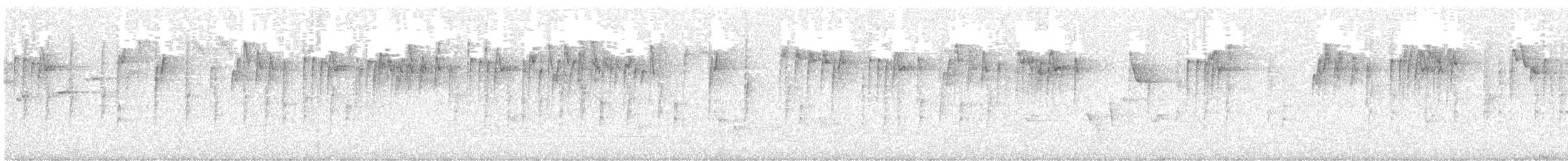 Striated Thornbill - ML641480761