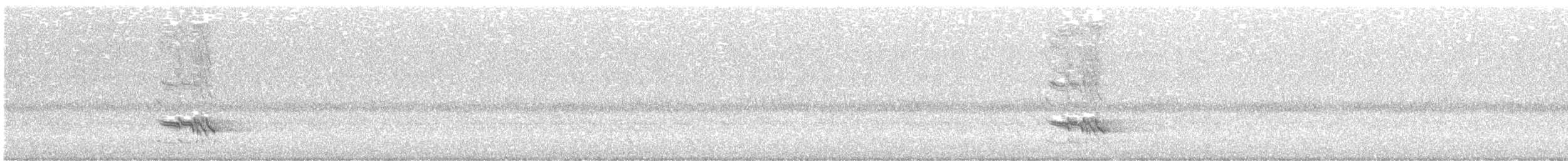 Black-faced Cuckooshrike - ML641481378