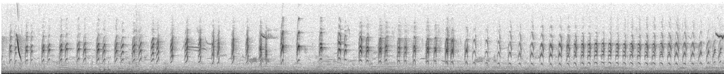 Cape Sugarbird - ML641482579