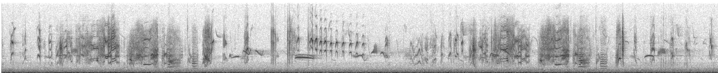 Cape Sugarbird - ML641482726