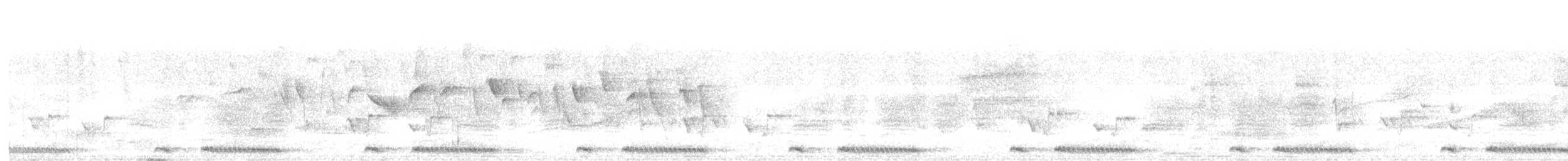 Ring-necked Dove - ML641486857