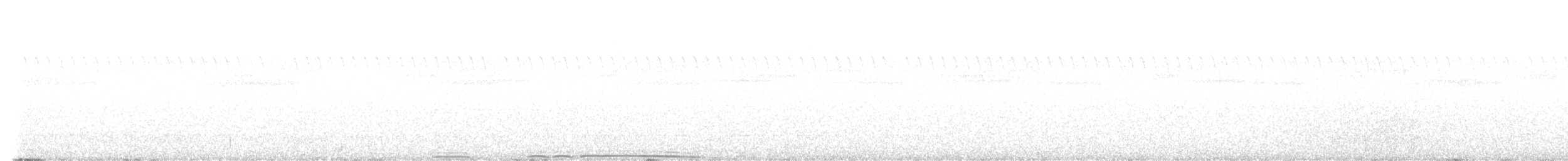 Chouette leptogramme - ML641487660
