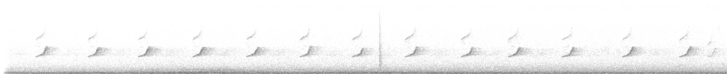 シロビタイジョウビタキ（phoenicurus） - ML641488753