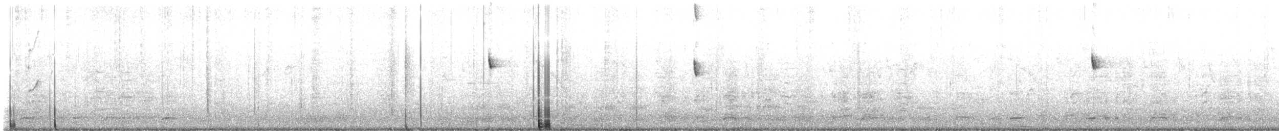 Rufous-vented Chachalaca - ML641489444