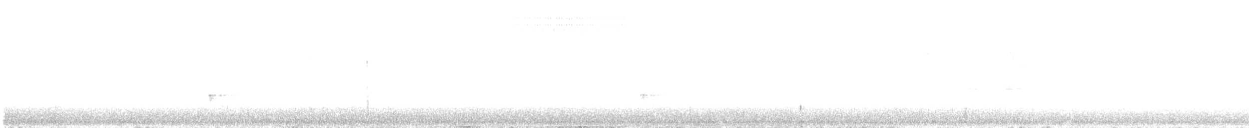 Black-backed Woodpecker - ML641489928