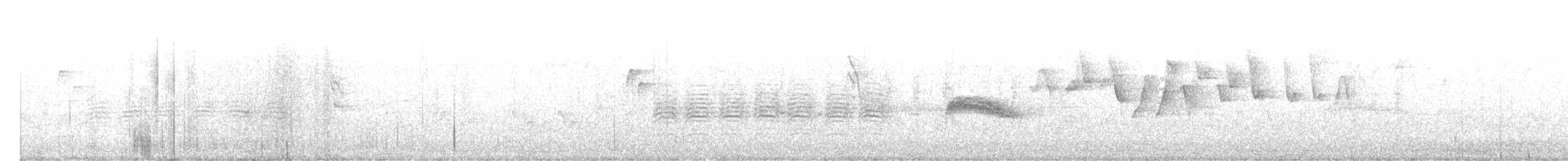 Western Wood-Pewee - ML641490380