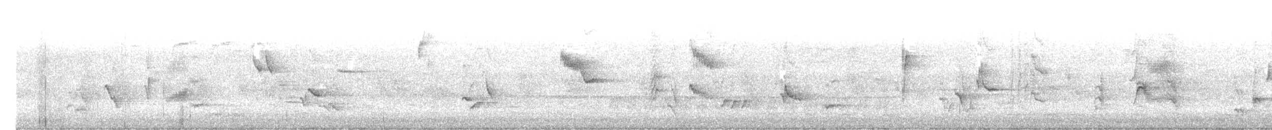 Кошачий пересмешник - ML641490744