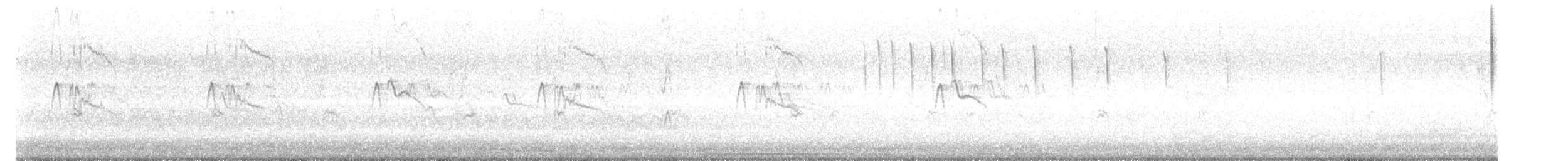 Black Phoebe - ML641493915