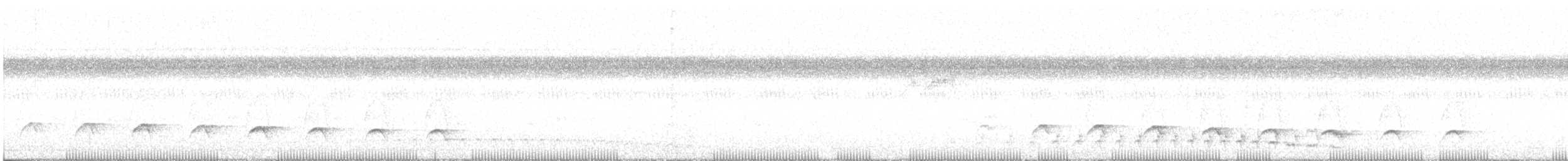 Myrmidon à flancs blancs - ML641497624