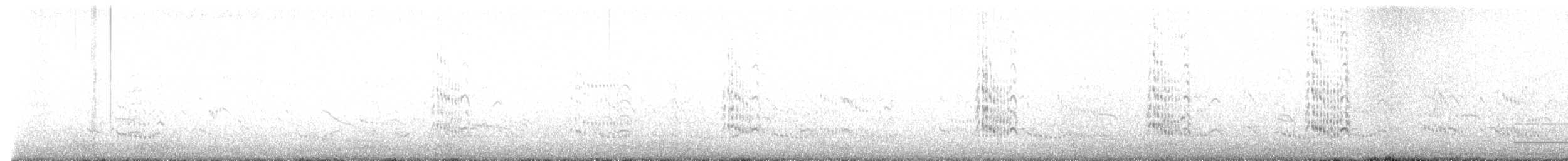 Royal Tern - ML641498318