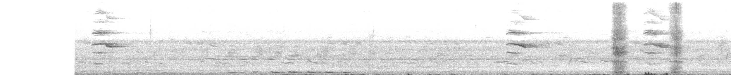 Greater Coucal - ML641500114