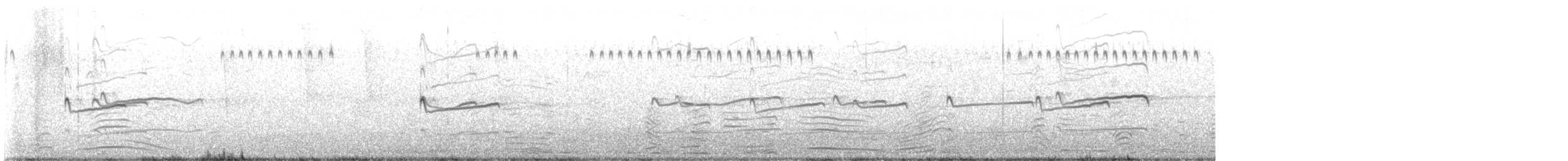 Killdeer - ML641501447