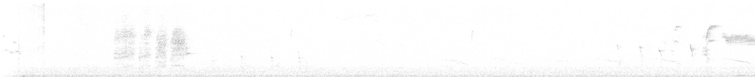 Bewick's Wren - ML641501774