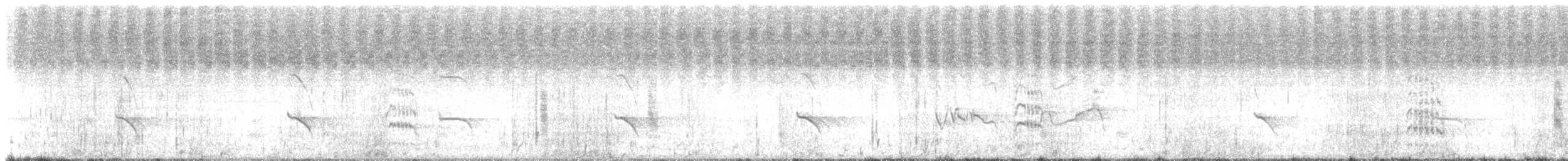 Royal Tern - ML641502744