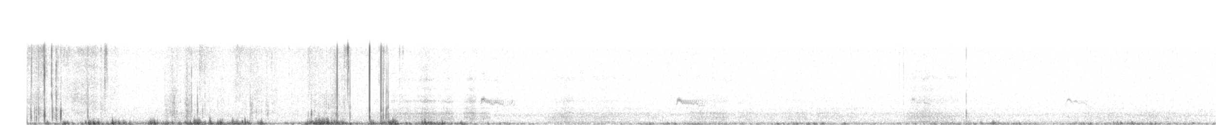 Chorlito Carambolo - ML641503306
