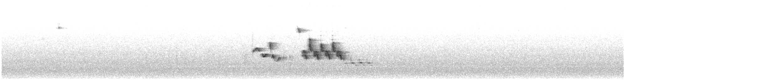 Southern House Wren - ML641505489