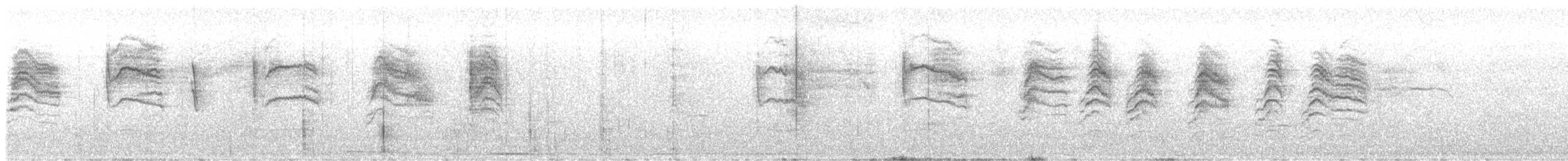 Blue-gray Gnatcatcher (Western) - ML641506001