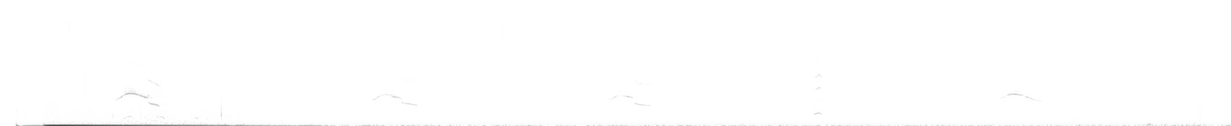 チャバライカル - ML641506786