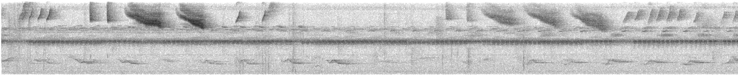 Pectoral Sparrow - ML641507076