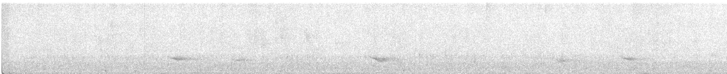 Veery - ML641507930