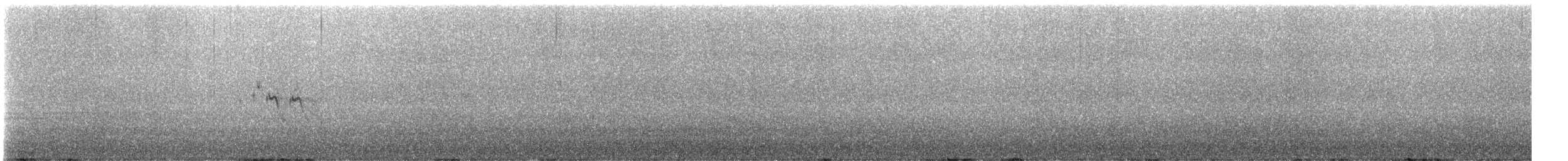 zedníček skalní - ML641509559