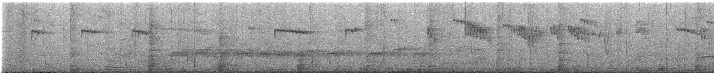 Black-faced Warbler - ML641509949