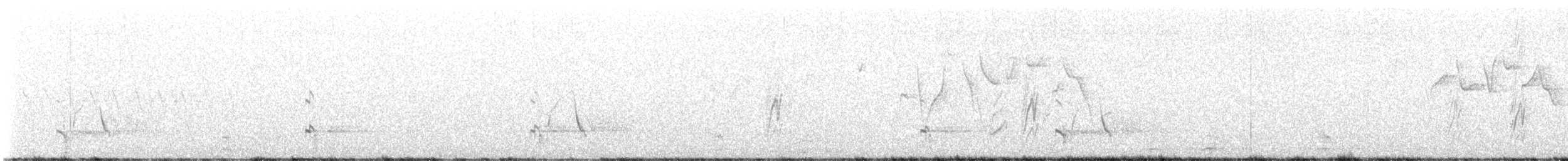 bažant himálajský - ML641510171