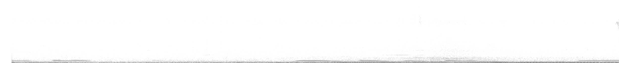 Eared Dove - ML641511729
